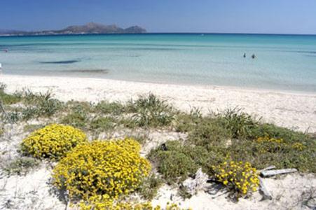 Apartment Alcudia Ocean View Exteriér fotografie